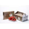 什么地方有供应优惠的丹东红颜草莓——广州冰牛奶草莓