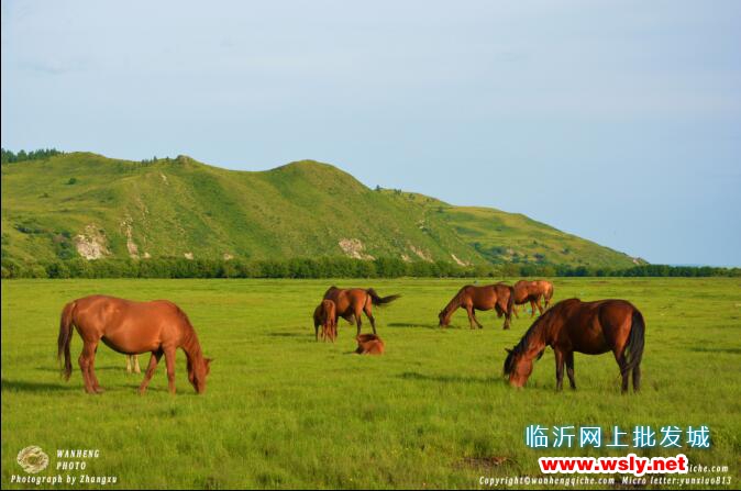 呼伦贝尔户外旅游