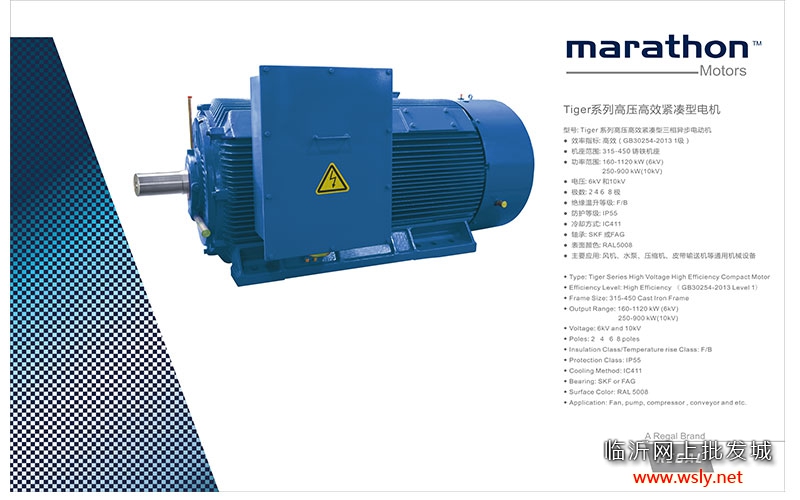 Tiger系列高压高效紧凑型电机