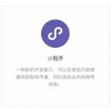 多种微信小程序|专业的微信小程序公司，当属隋唐网络