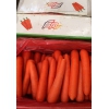 品牌好的蔬菜配送供应商——惠州蔬菜配送