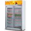 专业的两门冷冻柜批发——价位合理的冷柜