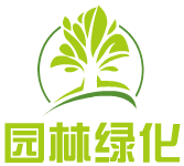 云浮大叶油草采购 云浮夏夷草批发 云浮夏夷草供应商